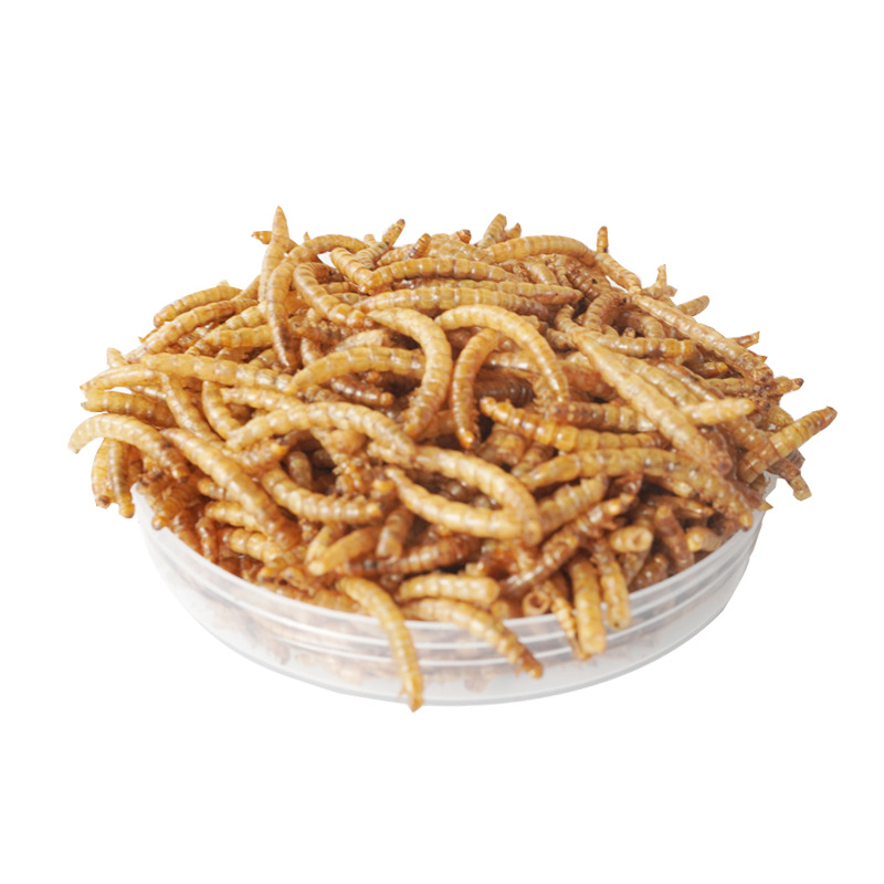 Food Snacks With Protein - Yüksek Proteinli Atıştırmalıklar Hamster Yemi Kuşlar